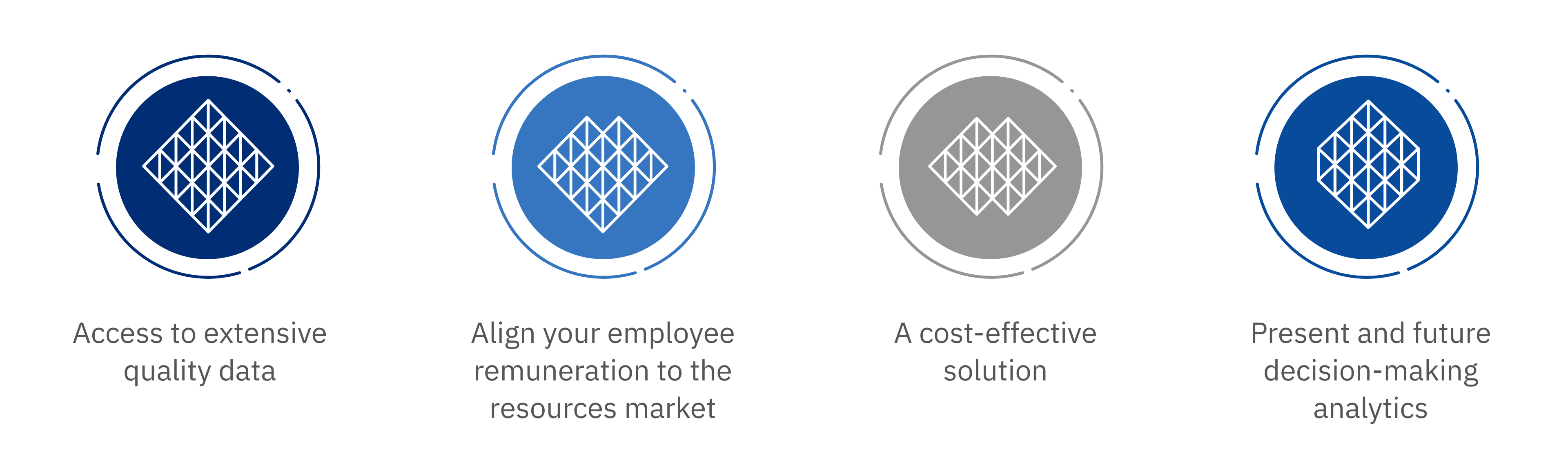 Four circular icons in a row with a geometric diamond pattern in the center; accompanied by text highlighting business benefits: "Access to extensive quality data," "Align your employee remuneration to the resources market," "A cost-effective solution," "Present and future decision-making analytics."